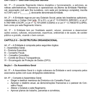 Modelo de Regimento Interno de Entidade Filantrópica — Estrutura, Órgãos, Rotinas Administrativas, Prestação de Contas, Transparência e LGPD | Word Editável